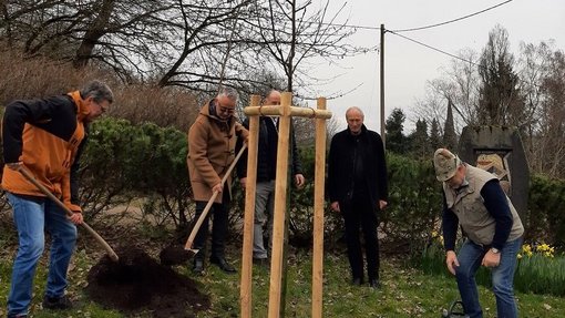 Foto der Pflanzaktion