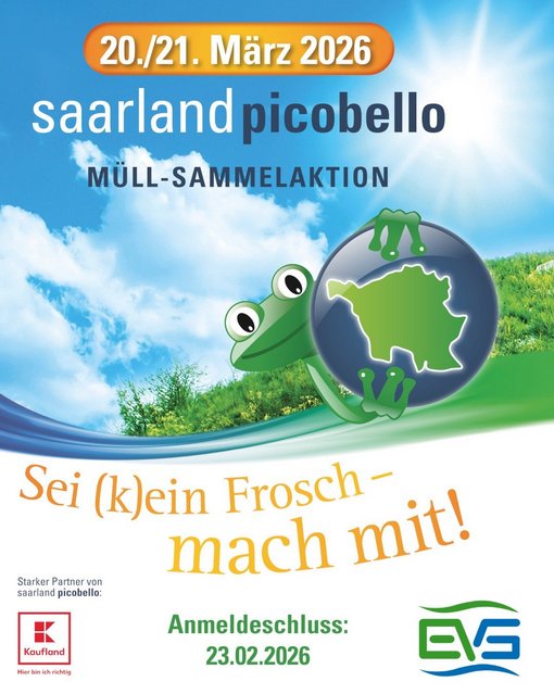 Plakat des EVS zum Aufruf Picobello 2026 mit Maskottchen dem Frosch 