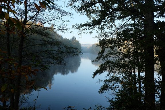 Saufangweiher in Bildstock