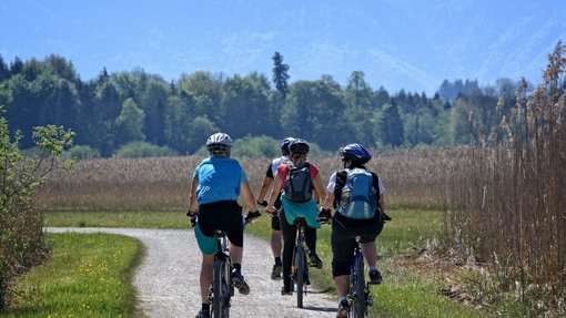 Personen fahren bei schönem Wetter mit dem Fahrrad auf einem Feldweg 