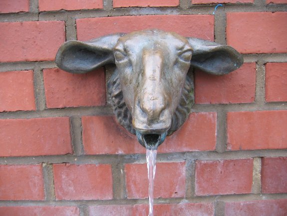 Schafskopf, der an einer roten Ziegelsteinwand hängt und Wasser aus dem Maul fließt.