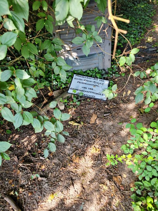 Bild zeigt beschädigtes Modell des ehemaligen Hoferkopfturms