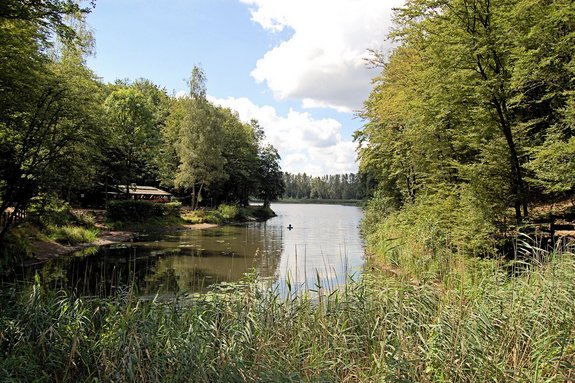 Weiher von Bäumen eingefasst mit Fischerhütte