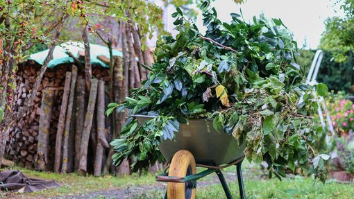 Schubkarren im Garten voll mit Grünschnitt