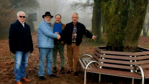 Vereinsmitglieder und Bürgermeister neben Baum und neuer Rundbank