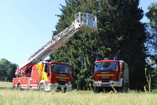 Feuerwehr Friedrichsthal Zwei Feuerwehr-Autos, eins mit Drehleiter, vor einem großen Baum