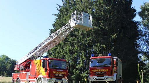 Zwei Feuerwehr-Autos, eins mit Drehleiter, vor einem großen Baum